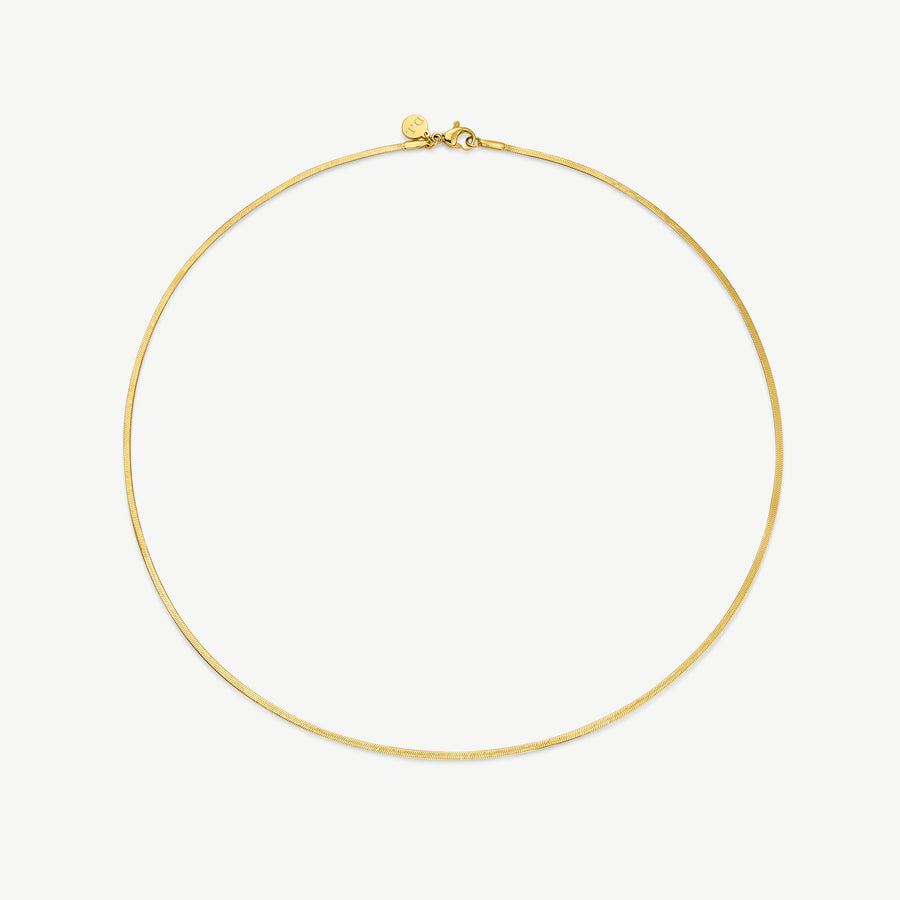 Fine Essentials Necklace